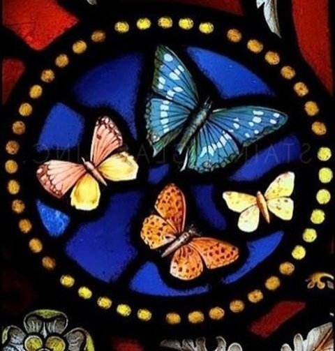 marek2119's profile picture. 