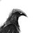 baekimush11's profile image