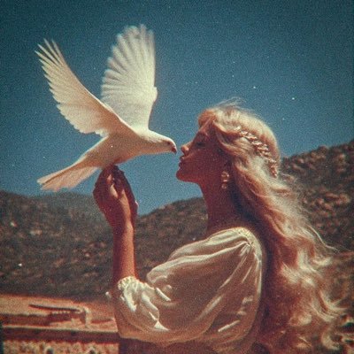 Ghaidaa50772504's profile picture. "دَعها على اللهِ أقداراً مُقدّرةً ، لمّ يخلق اللهُ إنسانًا وينساهُ"🕊🍂