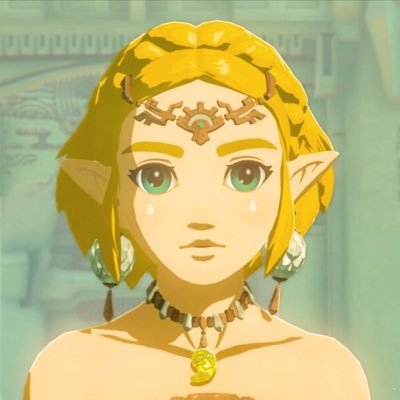 totkzelda's profile picture. with waves of light, deliver me | #1 totk zelda defender | multifandom | priv: @howareyoutrue_