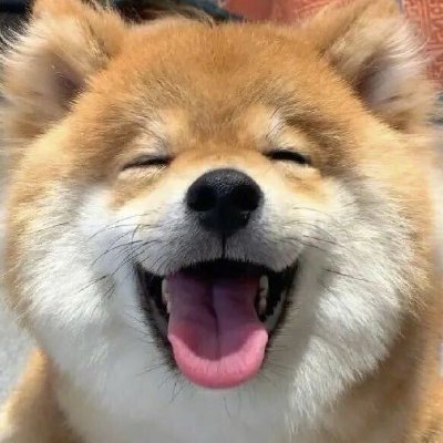 jiahaoshishuai's profile picture. 方向是对的，那就是没错的。