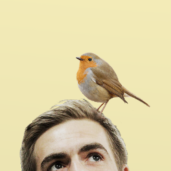 anexactscience's profile picture. i like stories about detectives, siblings and expeditions. occasional med related tweets. the good sports tv tears are over at @kissthecrest.