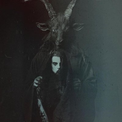 knockingbooks's profile picture. 