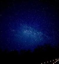 MohameedHammed's profile picture. 