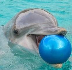 MOIVIANNA's profile picture. 