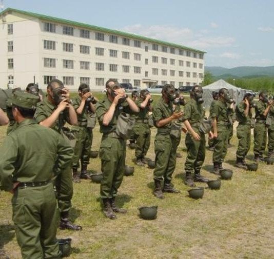 momo3819's profile picture. 