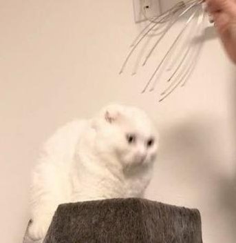 monkymum's profile picture. 