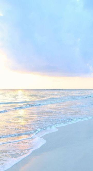 monroe44's profile picture. 