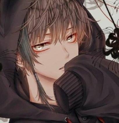 musabhaija's profile picture. 