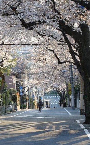 Musatovas's profile picture. 