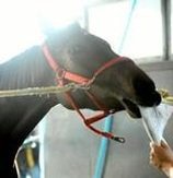 nata_gres1's profile picture. 