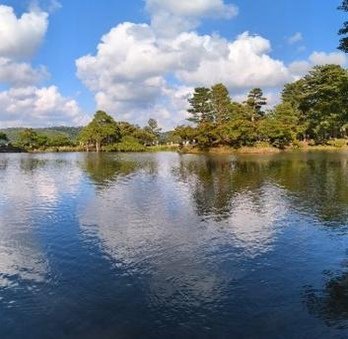 natliebmann112's profile picture. 