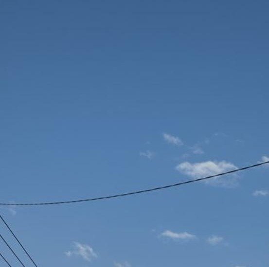 Neli1014082's profile picture. 