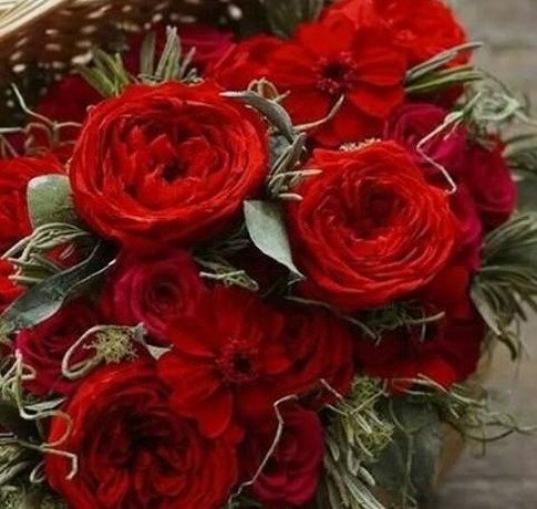 nftYSfxz's profile picture. 