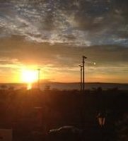 N_Stew's profile picture. 