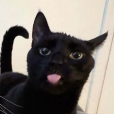 xel5_'s profile picture. Alex - 22 - 🏴󠁧󠁢󠁥󠁮󠁧󠁿 🏴󠁧󠁢󠁳󠁣󠁴󠁿 🇲🇾 🇦🇺- Radiant @xshishii 🤍