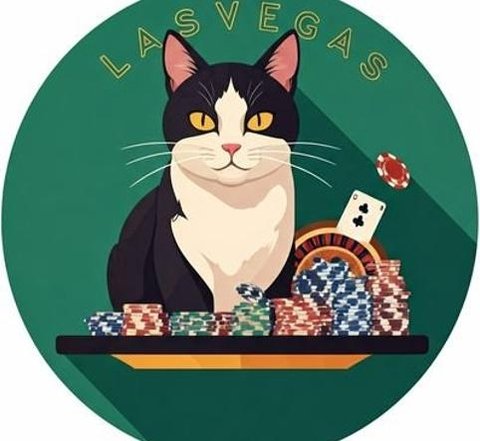 PaulKata's profile picture. 