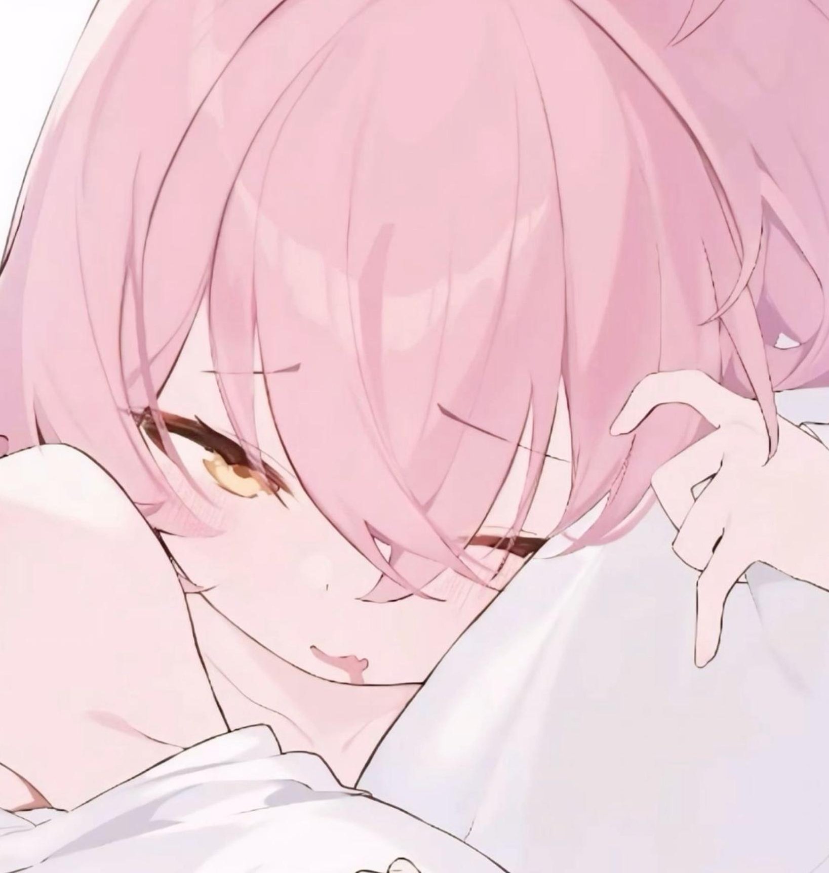 Peib_SC's profile picture. 