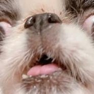 PhatPhlydesigns's profile picture. 