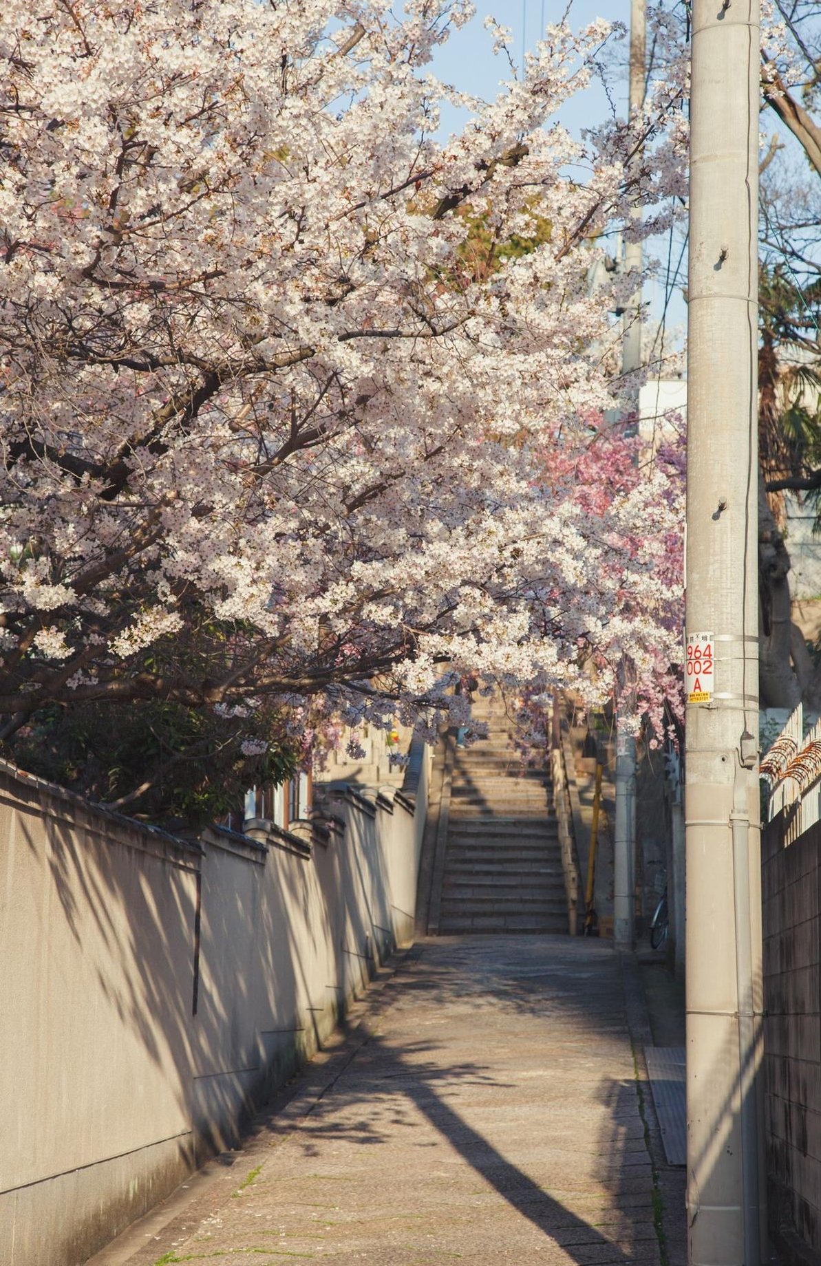 Pratik2555's profile picture. 