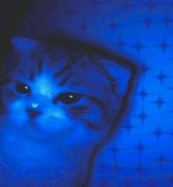 PrensdOrient's profile picture. 