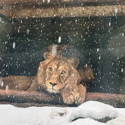 Nichola27727918's profile picture. 