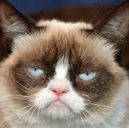 ReneHazeldine_'s profile picture. 