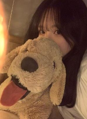 rexcheng5's profile picture. 