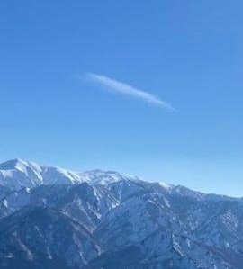 robbocherry's profile picture. 