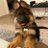 Q2_KIT5's profile image