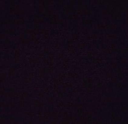 SabrinaLoss's profile picture. 