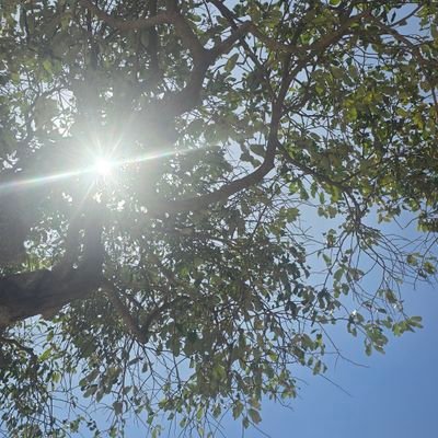 Princesodele's profile picture. 100% imunizado