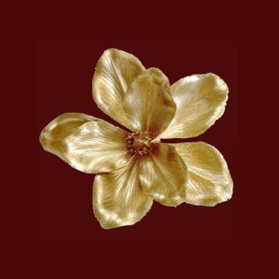 oct6___'s profile picture. 