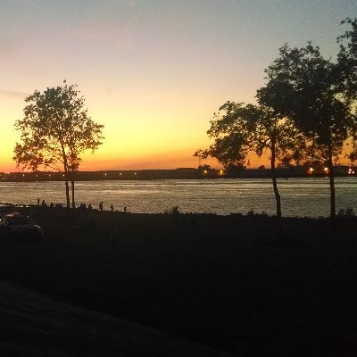 StealthAkula's profile picture. 