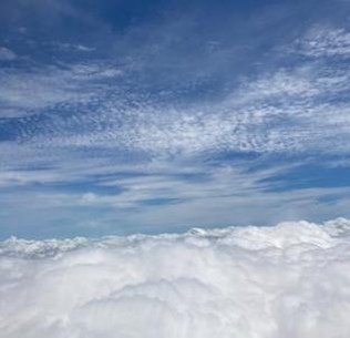 ShadowyShadow's profile picture. 