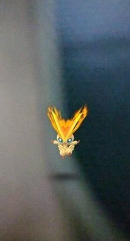 shingoo_jinn's profile picture. 