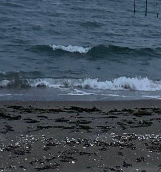 talhanaim's profile picture. 