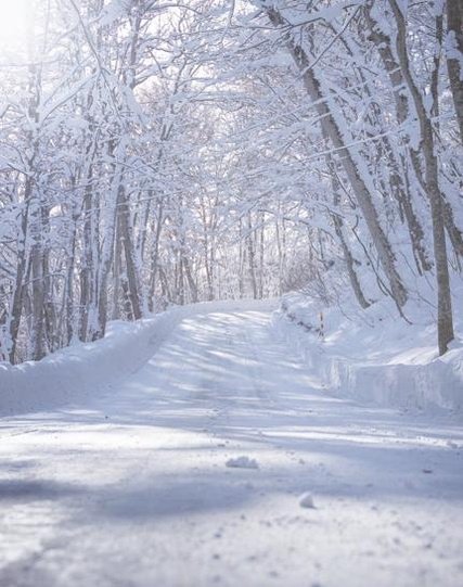 TenderZed's profile picture. 