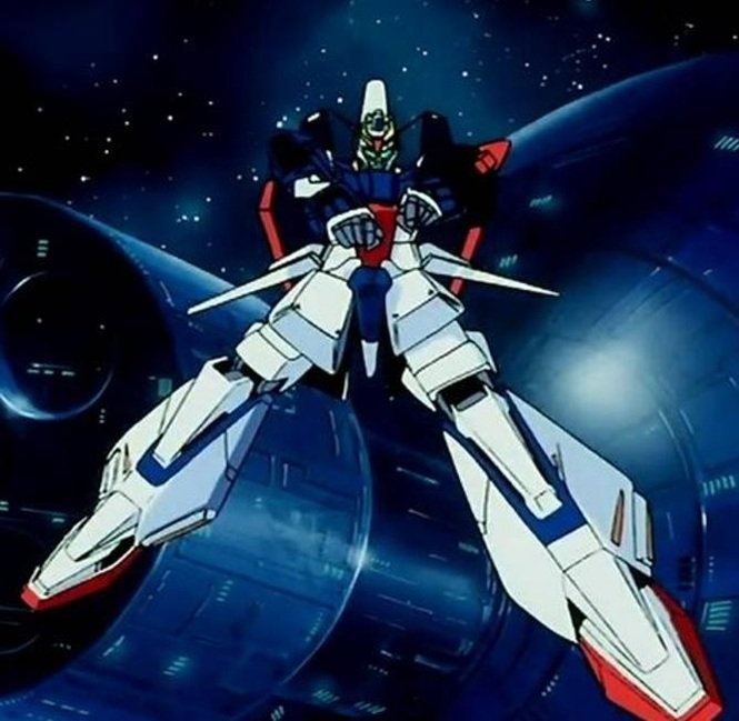 terdferguson36's profile picture. 