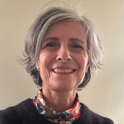 SophieBeaubourg's profile picture. Compte personnel - Business : transformation digitale - Sport : trail - Politique : militante @renaissance 🇫🇷🇪🇺