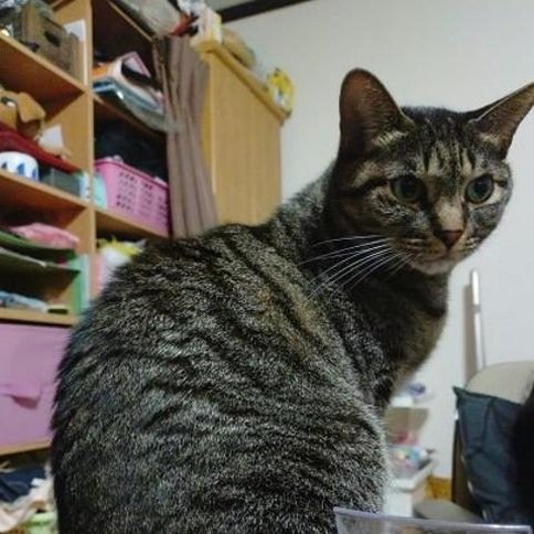 toutserabien's profile picture. 