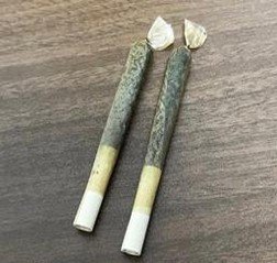 Trevortulle1901's profile picture. 