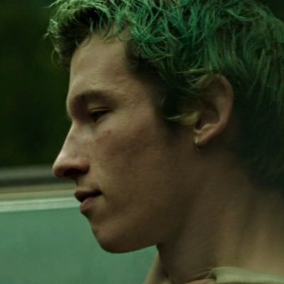 tigreenroom's profile picture. 21 || bi || free palestine || anti-ai || nazi punks, fuck off