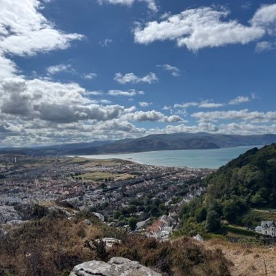 Josh_29B's profile picture. .