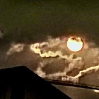 vonis55's profile picture. 