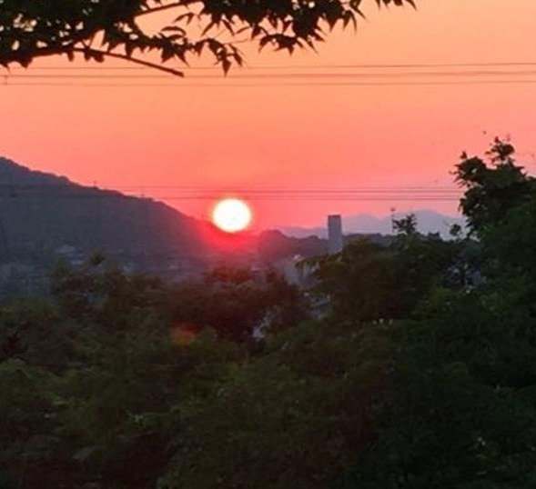 weerasuri's profile picture. 