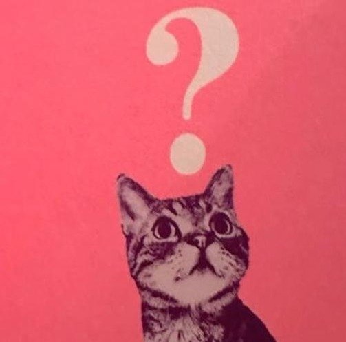 welchwichita46's profile picture. 