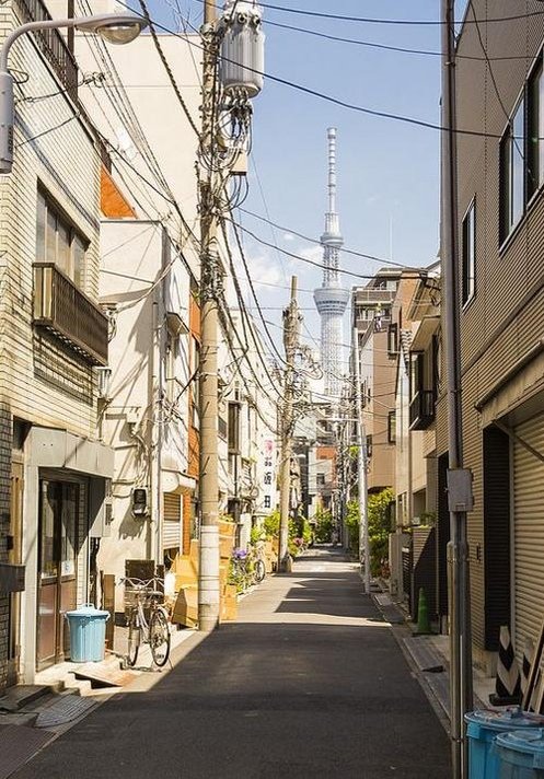 WepetovCk's profile picture. 