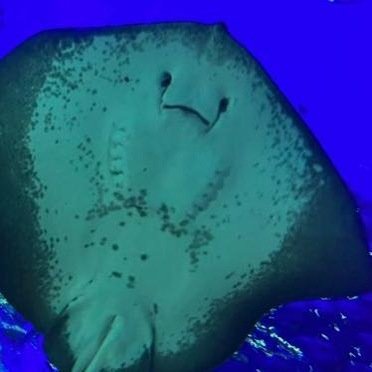 Woodybhostage's profile picture. 