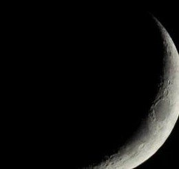 XGROWS's profile picture. 